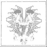 Bait : Run the Gauntlet